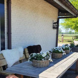Luxe Gastenkamer Met Living En Keuken Bij Friezen Paarden Stal Pellendijk Westendorp Exteriör bild
